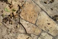 Naturnaher Terrassenboden aus unregelmäßigen Sandsteinplatten mit Herbstlaub. Ideal für Gartenprojekte und Außenbereich.