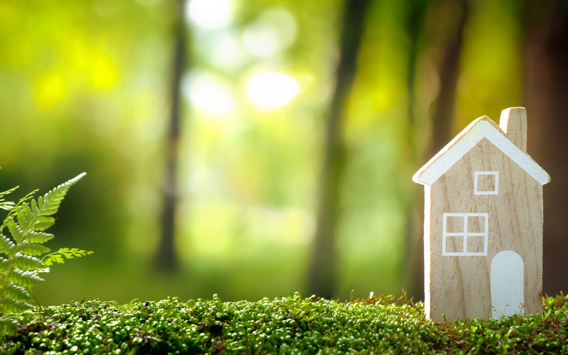 D&auml;mmen mit Holzfaserplatten ist &ouml;kologisch und nachhaltig und tr&auml;gt zum Schutz der Umwelt bei.