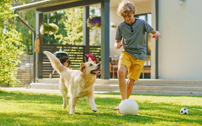 Un enfant et un chien jouent dans le jardin devant une maison rénovée ; un projet de bricolage décontracté pour toute la famille.