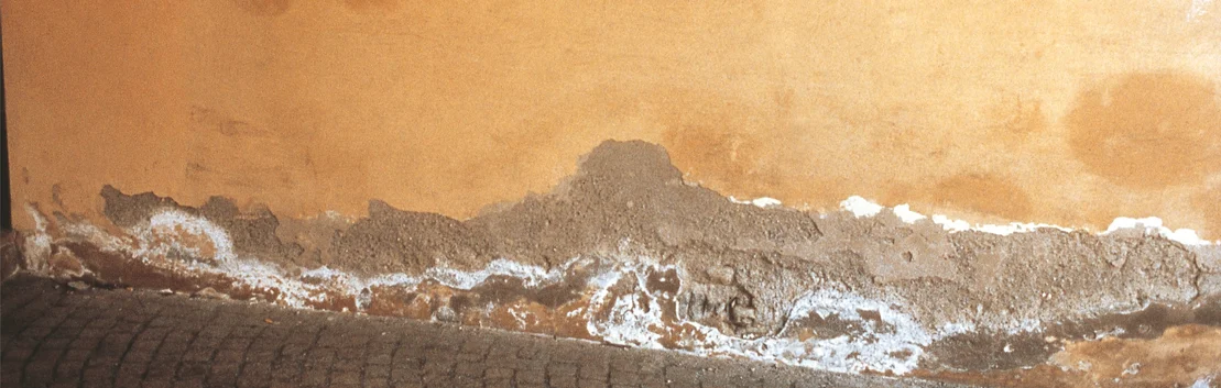 Mur humide pr&eacute;sentant des d&eacute;p&ocirc;ts de sel : signes de d&eacute;g&acirc;ts dus &agrave; l&rsquo;humidit&eacute; et n&eacute;cessit&eacute; d&rsquo;une r&eacute;novation du mur ext&eacute;rieur.