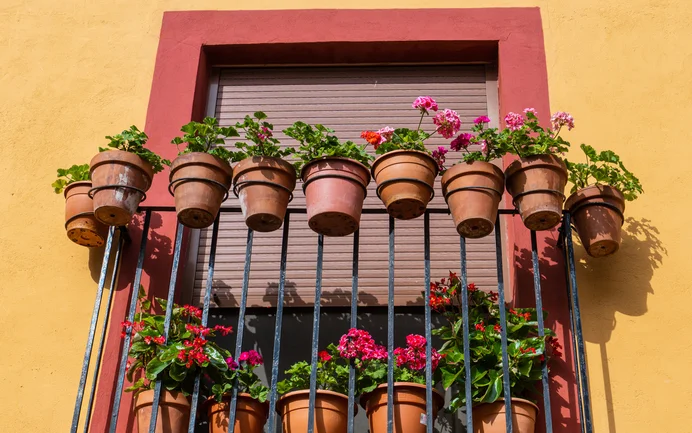 Balustrade de balcon ornée de fleurs en pot devant une façade jaune. Une source d’inspiration pour les projets de jardinage à réaliser soi-même.