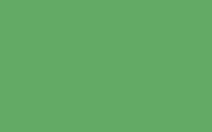 Une zone de couleur verte sert de repère pour les projets de bricolage individuels.