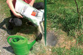 !Garten- und Landschaftsbaubeton Fix wird ohne Anmischwasser in das Loch geschüttet.!