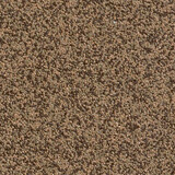 Échantillon de couleur pour le crépi mosaïque Baumit en teinte M 318 Rax.