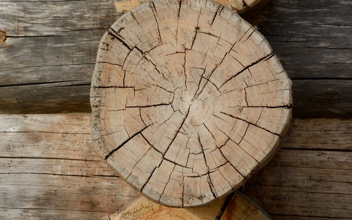 Poutres en bois dans une construction murale rustique, idéales pour des projets de bricolage créatifs et des touches architecturales authentiques.